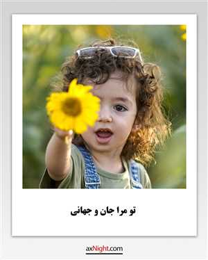 پولاروید معمولی